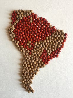 Seed Map of the Amazon and Atlantic Rainforests